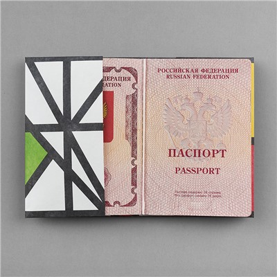 Обложка на паспорт NEW WALLET - New Impression; сделан из Tyvek® / Бренд: New wallet /