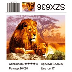 AM23 SZX636, 20х30 см