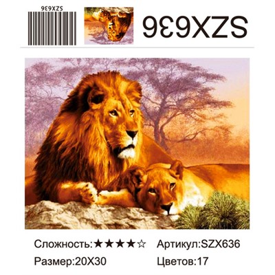 AM23 SZX636, 20х30 см