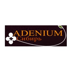 Adenium