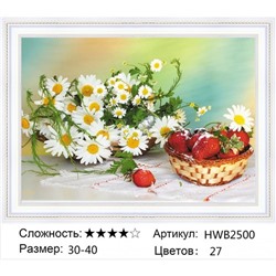 AM34 HWB2500,30х40 см