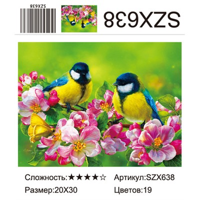 AM23 SZX638, 20х30 см