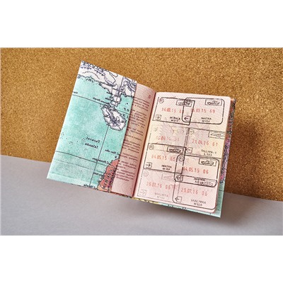 Обложка на паспорт NEW WALLET- new Voyager; сделан из Tyvek® / Бренд: New wallet /