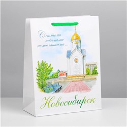 Пакет подарочный МС «Новосибирск»
