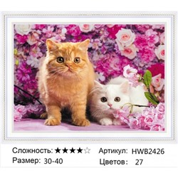 AM34 HWB2426,30х40 см