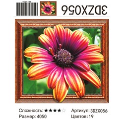 АМ3D ZX056, 40х50