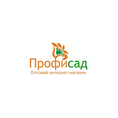 Профисад