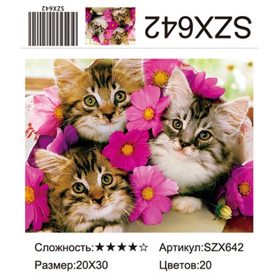 AM23 SZX642, 20х30 см