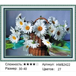 AM34 HWB2422,30х40 см