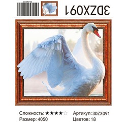 АМ3D ZX091, 40х50