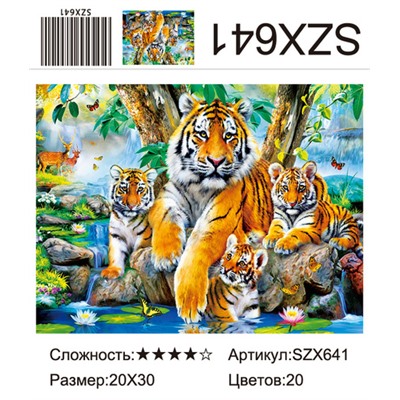 AM23 SZX641, 20х30 см