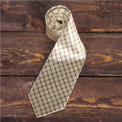 Подарочный набор: галстук и ручка "Лучшему брату"