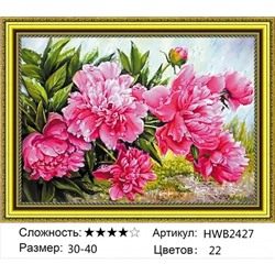 AM34 HWB2427,30х40 см