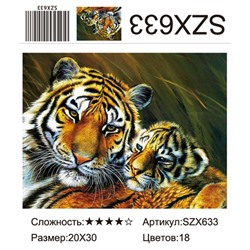 AM23 SZX633, 20х30 см