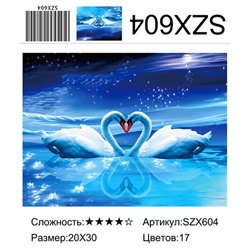 AM23 SZX604, 20х30 см