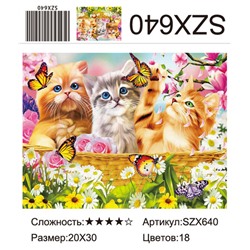 AM23 SZX640, 20х30 см