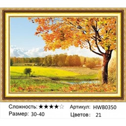 AM34 HWB0350,30х40 см