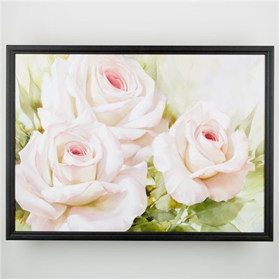 Картина "Бело-розовые розы 1" в рамке 50х70см, цвет черный ЛИ3