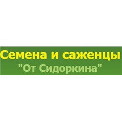 Семена и саженцы