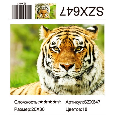 AM23 SZX647, 20х30 см