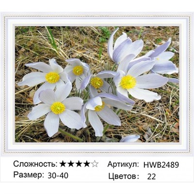 AM34 HWB2489,30х40 см