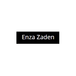 Enza Zaden – это международная компания, специализирующаяся на селекции и семеноводстве овощных культур