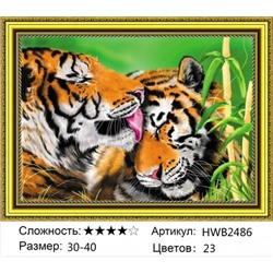 AM34 HWB2486,30х40 см