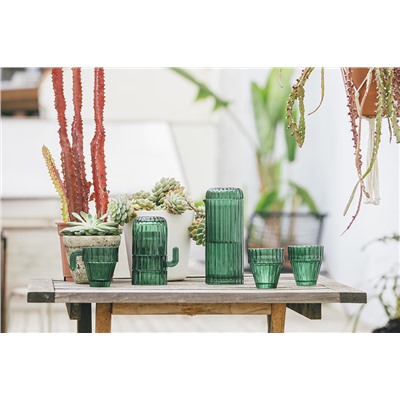 Набор из 6-ти стеклянных стаканов Saguaro, зеленый / Бренд: Doiy /
