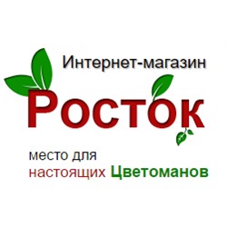 Росток