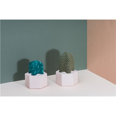 Носки Cactus Mammillaria / Бренд: Doiy /
