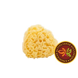 Морские губки Honeycomb отбеленные средние (10,2х11,5см)
