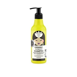Hair Super Food / Шампунь для волос "восстановление" Organic shampoo "Recovery" , 250 мл