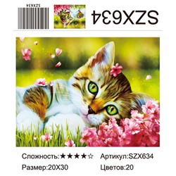 AM23 SZX634, 20х30 см