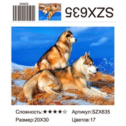 AM23 SZX635, 20х30 см