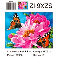 AM23 SZX612, 20х30 см