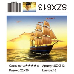 AM23 SZX613, 20х30 см