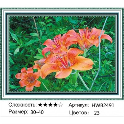 AM34 HWB2491,30х40 см