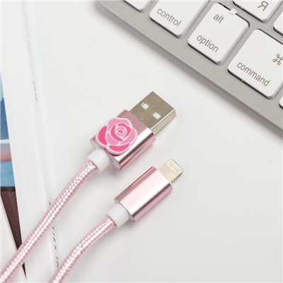 Набор: держатель для провода и кабель USB iPhone «Самой особенной», 1 м