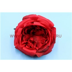 Г1020 Пионовидная роза сатин 10сл."Миранда"d=14см
