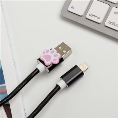 Набор: держатель для провода и кабель USB iPhone «Кот», 1 м