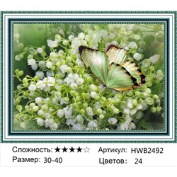 AM34 HWB2492,30х40 см