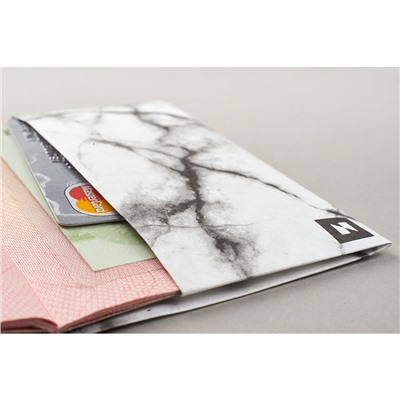 Обложка на паспорт NEW WALLET- New Moonlight; сделан из Tyvek® / Бренд: New wallet /
