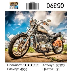 РН Q5390, 40х50 см